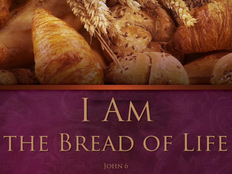 I Am The Bread Of Life   Sermon I Am The Bread Of Life 768x576 